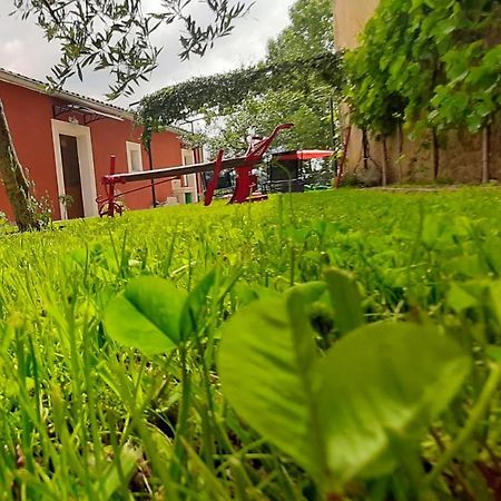 Provvidenza Villa Motovun Dış mekan fotoğraf
