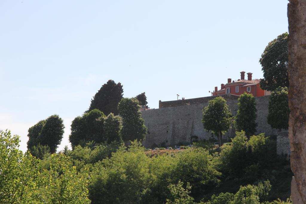 Provvidenza Villa Motovun Oda fotoğraf
